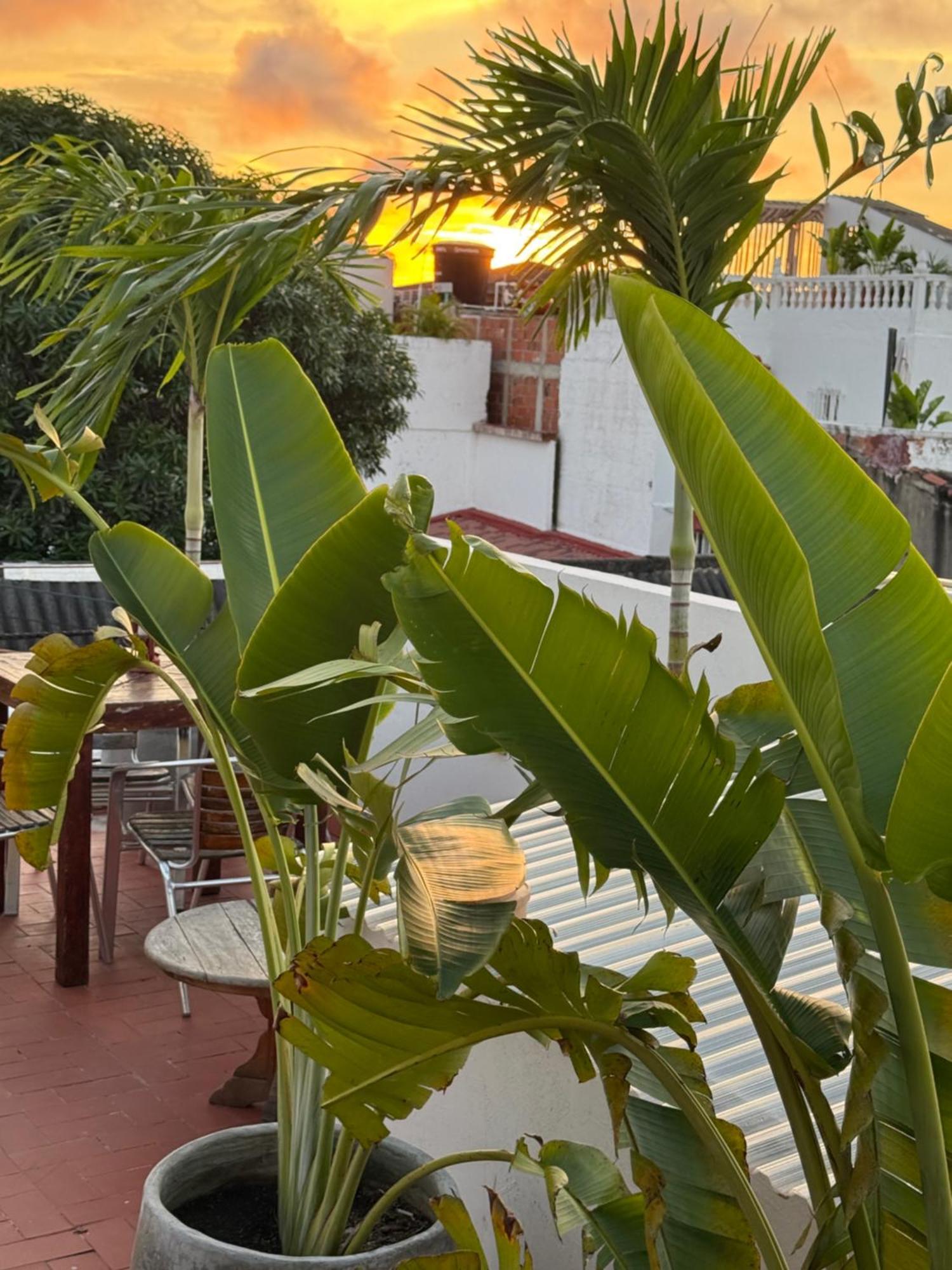 Pachamama Hostel Cartagena Екстер'єр фото